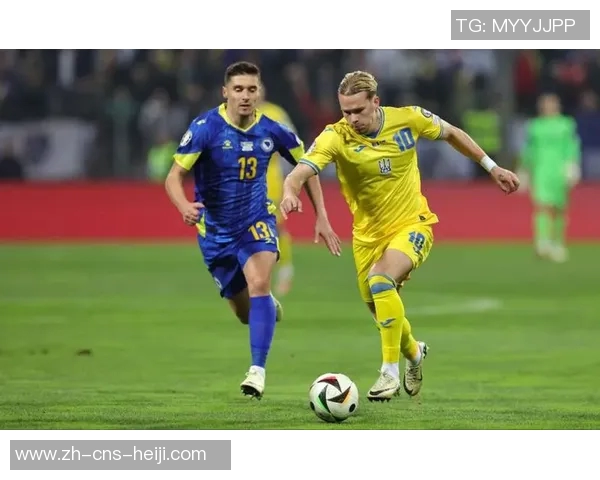 2014世界杯阿根廷对阵波黑精彩回顾与比赛亮点分析